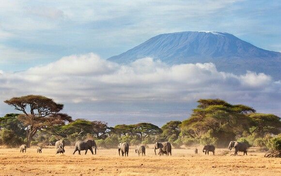 6-Day Kilimanjaro via Machame Route Whiskey